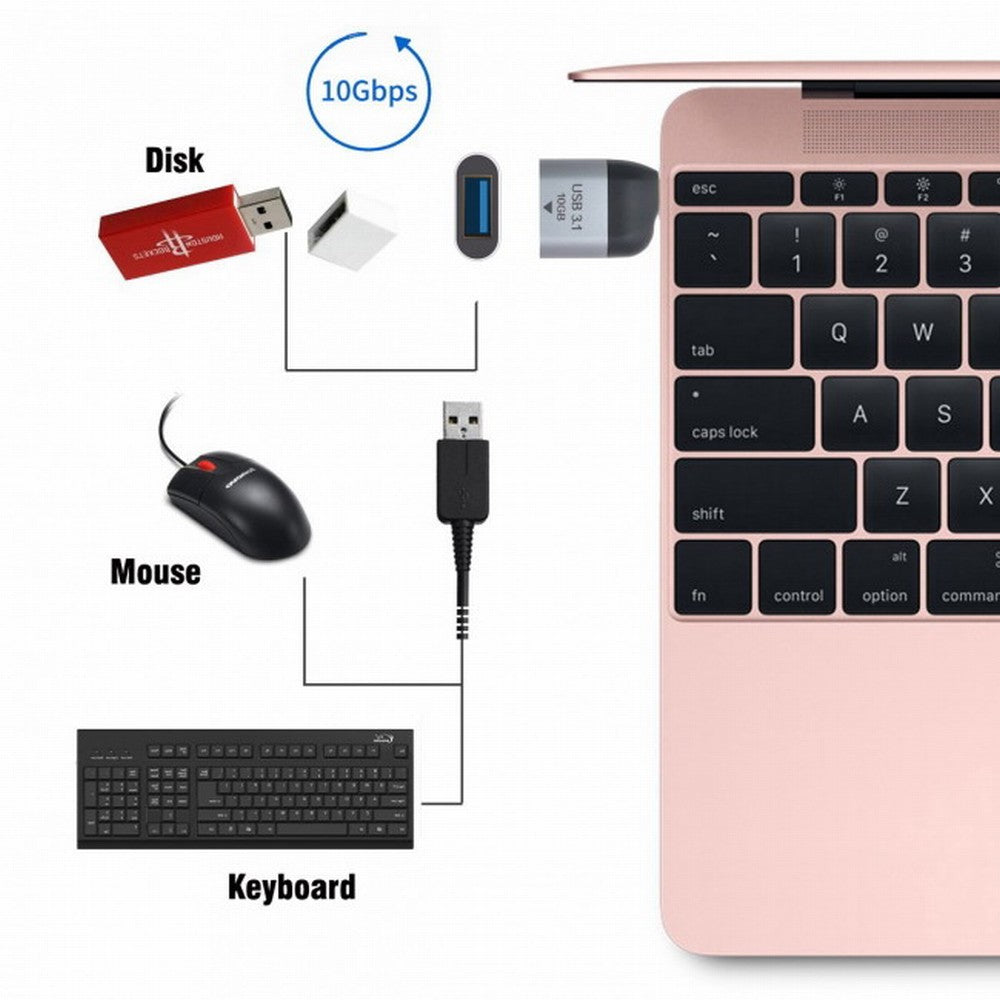 Cablecc 10Gbps USB 3.1 Type-C Male Host to USB 3.0 Type-A Female OTG Data Adapter, Compatible with Laptop and Phone