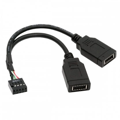Dual Port USB 3.1 Front Panel Socket Key-A Type-E to USB 2.0 9Pin 10Pin Mainboard Header Male Extension Cable