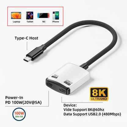 White USB-C Type-C 1-to-2 VR AR Glass OTG 8K Video USB-C Female 100W PD Power Cable for NS Handheld Console Laptop Tablet Phone